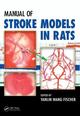 Manual of Stroke Models in Rats by Yanlin Wang-Fischer