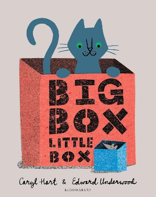 Big Box Little Box book