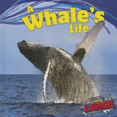 Whale's Life by Sara Antill