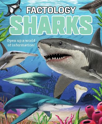 Factology: Sharks: Open Up a World of Information! book