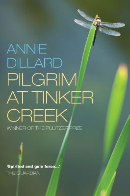 Pilgrim at Tinker Creek book
