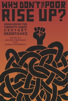 Why Don't The Poor Rise Up? book