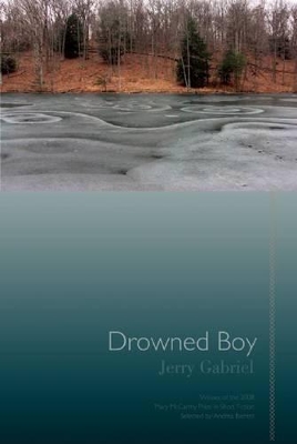 Drowned Boy: Stories book