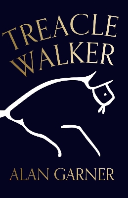 Treacle Walker book