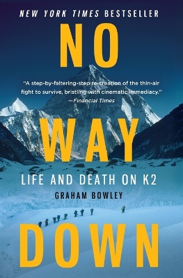 No Way Down book