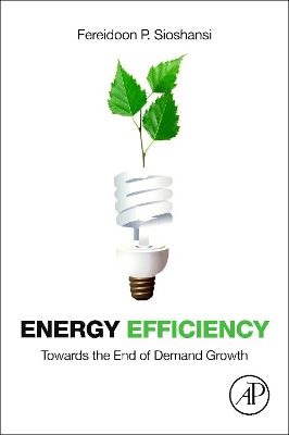 Energy Efficiency: Towards the End of Demand Growth book