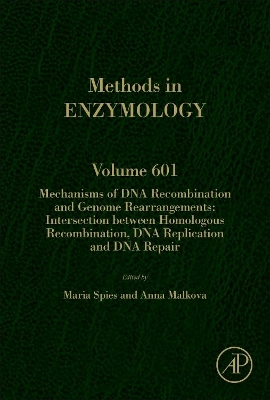 Mechanisms of DNA Recombination and Genome Rearrangements: Intersection Between Homologous Recombination, DNA Replication and DNA Repair book