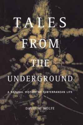 Tales From The Underground book