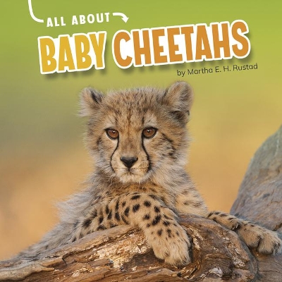 Baby Cheetahs book