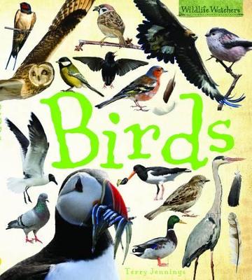 Birds by Terry Jennings