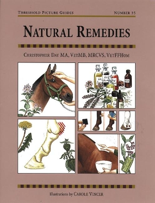 Natural Remedies for Common Ailments book