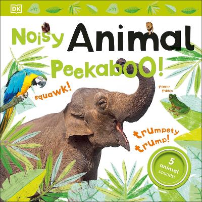 Noisy Animal Peekaboo! book