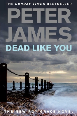 Dead Like You book