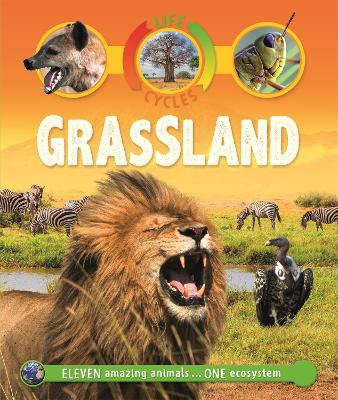 Life Cycles: Grassland book