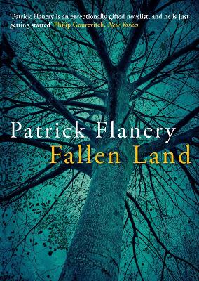Fallen Land book