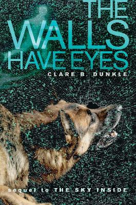 Walls Have Eyes book