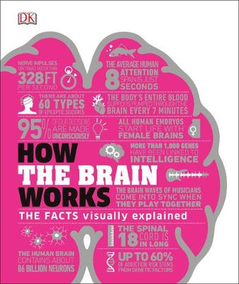 How the Brain Works: The Facts Visually Explained by DK