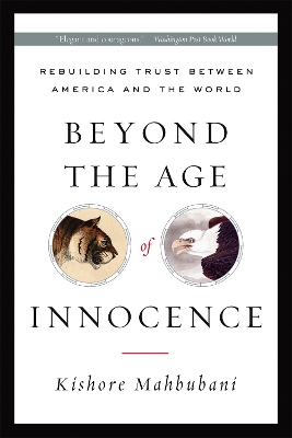 Beyond the Age of Innocence book