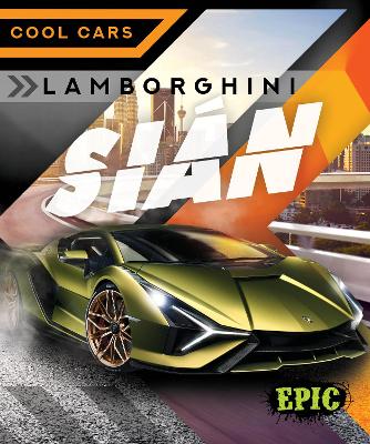 Lamborghini Sian book