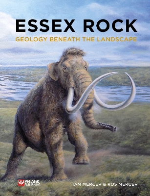 Essex Rock: Geology Beneath the Landscape book