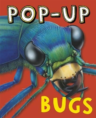 Pop-Up Bugs book