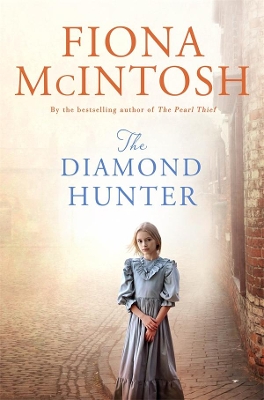 The Diamond Hunter book