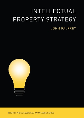 Intellectual Property Strategy book