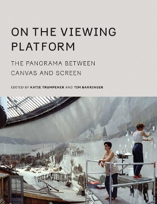 On the Viewing Platform: The Panorama between Canvas and Screen book