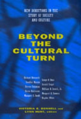 Beyond the Cultural Turn book