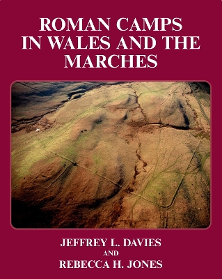 Roman Camps in Wales and the Marches book