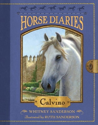 Horse Diaries #14 book