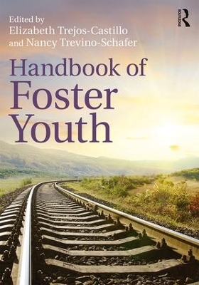Handbook of Foster Youth book