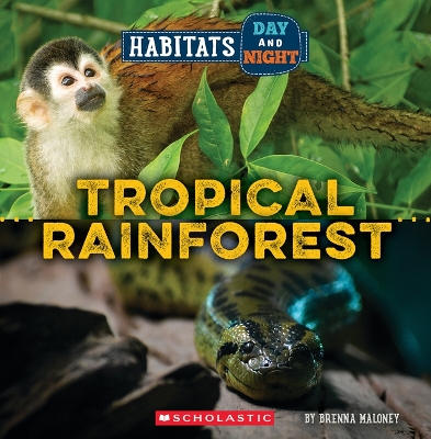 Tropical Rainforest (Wild World: Habitats Day and Night) by Brenna Maloney