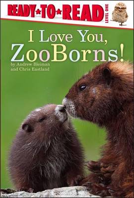 I Love You, Zooborns! by Andrew Bleiman