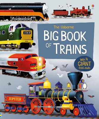 Big Book of Trains book