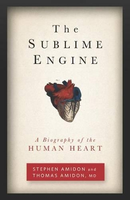 Sublime Engine book