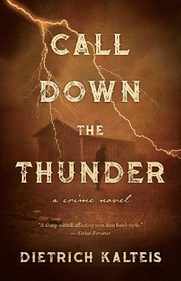 Call Down the Thunder: A Crime Novel book