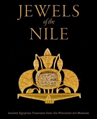 Jewels of the Nile: Ancient Egyptian Treasures from the Worcester Art Museum book