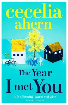 Year I Met You book