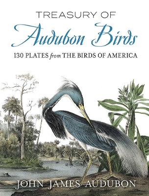 Treasury of Audubon Birds: 130 Plates from the Birds of America book