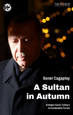 A Sultan in Autumn: Erdogan Faces Turkey's Uncontainable Forces book