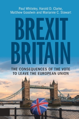 Brexit Britain: The Consequences of the Vote to Leave the European Union book