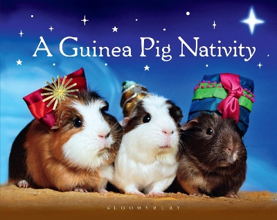 Guinea Pig Nativity book