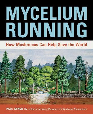 Mycelium Running book