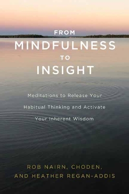 From Mindfulness to Insight: The Life-Changing Power of Insight Meditation book