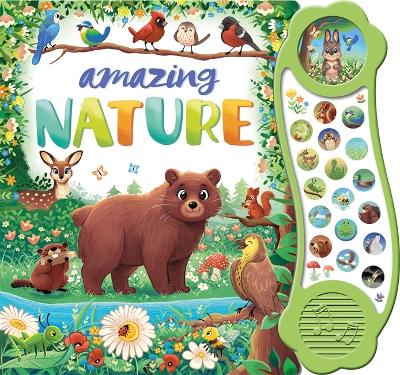 Amazing Nature by Igloo Books