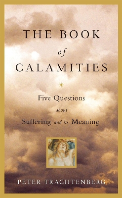 Book Of Calamities book