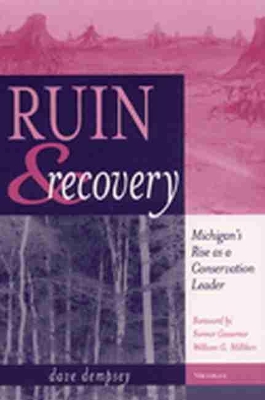 Ruin and Recovery book