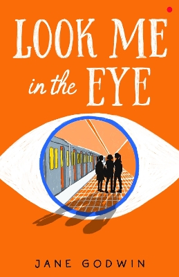 Look Me in the Eye book