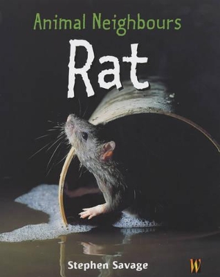Animal Neighbours: Rat by Stephen Savage